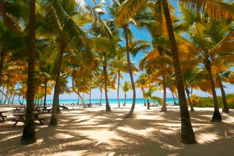 Минтуризма Доминиканы обсудило восстановление рейсов с Ростуризмом