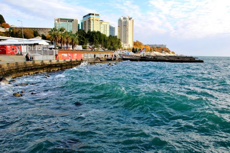 В сети громко критикуют субсидирование рейсов в Краснодарский край