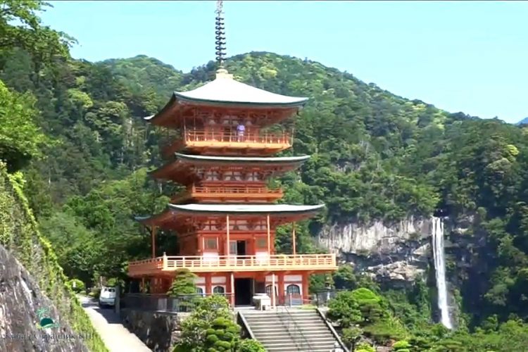 Обнародованы возможности проведения свадьбы в Японии