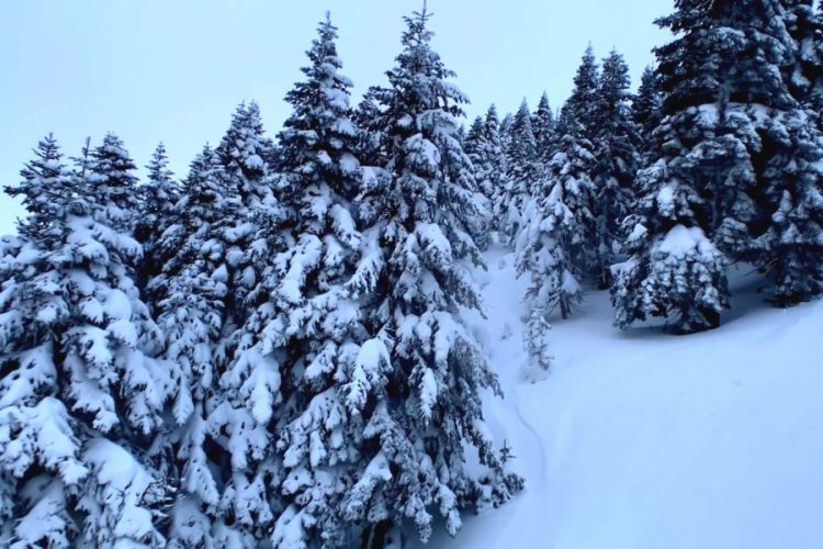 Россияне сделают кассу горнолыжным курортам Турции