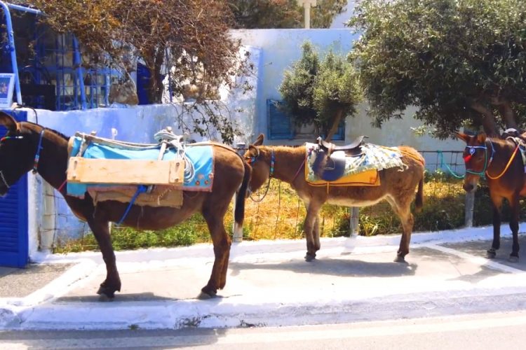 Из-за новых карантинных ограничений в Греции возникла путаница