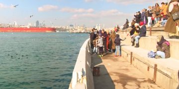 Туриста ждет тюрьма за оскорбление правительства Турции