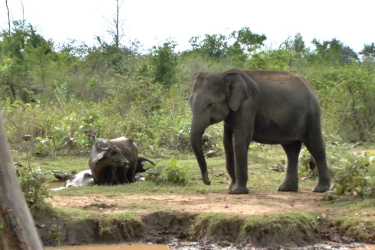 Для туризма открывается еще одно направление с теплым морем