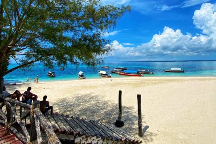 Россияне взглянули на Танзанию другими глазами