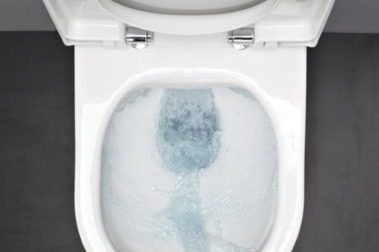 В. Путин затронул мнимо постыдную тему туризма