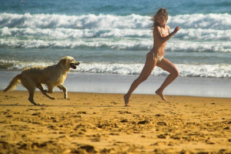 новость 02-01-2021 Новые правила пользования пляжами вступили в силу. Никаких собак!