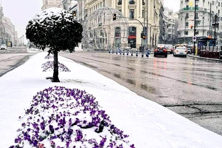 Зима В Мадриде Книга Купить