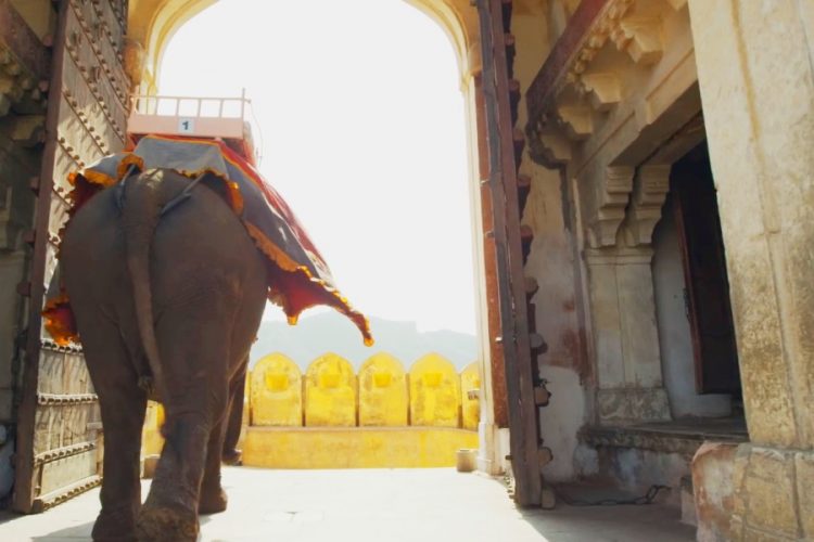 Индия готова принимать классических туристов на интересных условиях