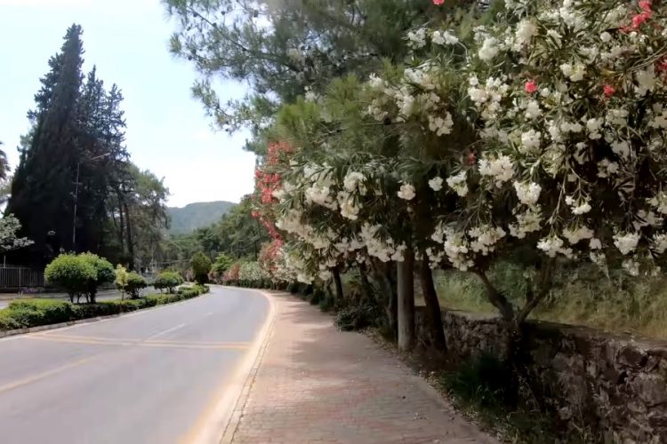 Отели Турции могут выбросить на рынок, как ненужные активы