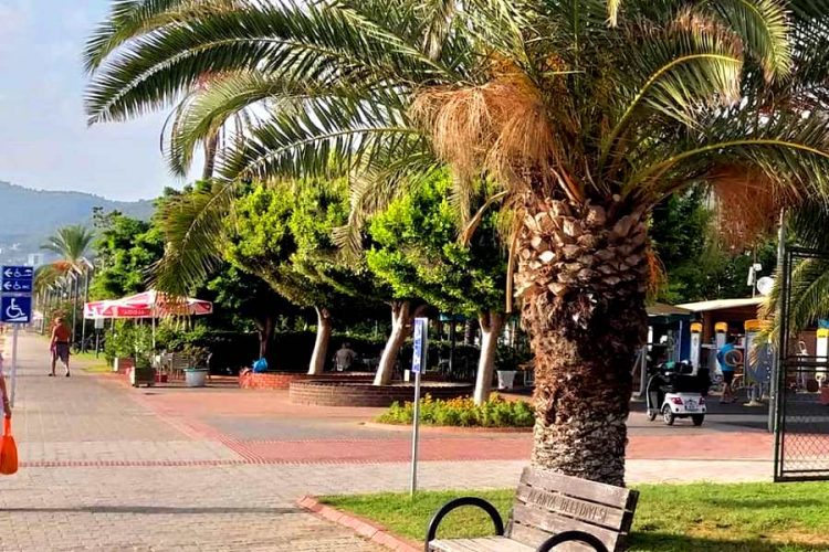 Вакцина для туристов и дискриминация: как распространяется неточная информация