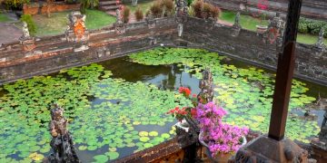 Остров Бали депортирует американского дизайнера из-за хвалебных постов в Твиттере