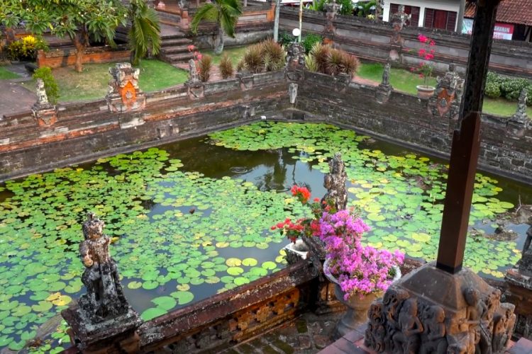 Остров Бали депортирует американского дизайнера из-за хвалебных постов в Твиттере