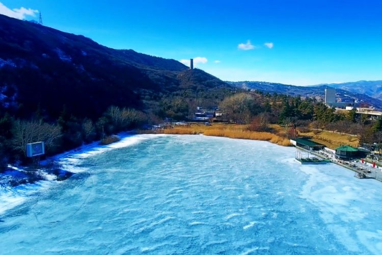 Обнародованы два легальных способа попасть в Грузию