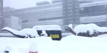 Центральную Японию парализовал сильный снегопад