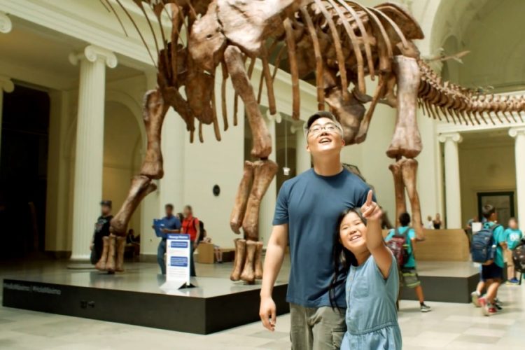 Travel Pass и безопасность: начнется ли тотальный контроль туристов?