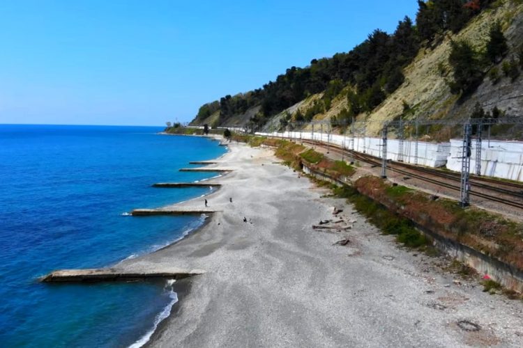 Российские туристы считают, что имеют право приходить на пляжи с собаками