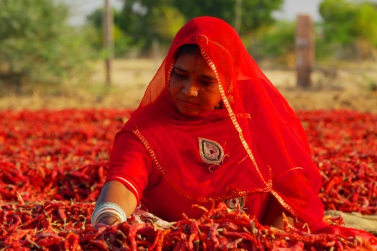 В преддверии запуска международного туризма Индия предлагает все больше развлечений
