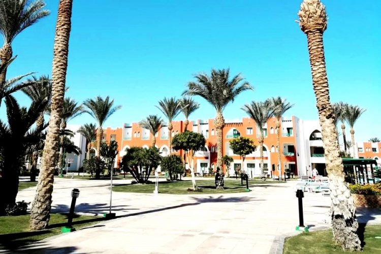 Открытие Египта может быть приурочено визиту Владимира Путина в страну