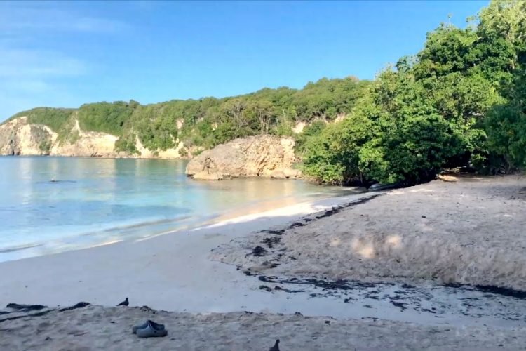 Курорт предлагает помощь парам, поругавшимся во время карантина