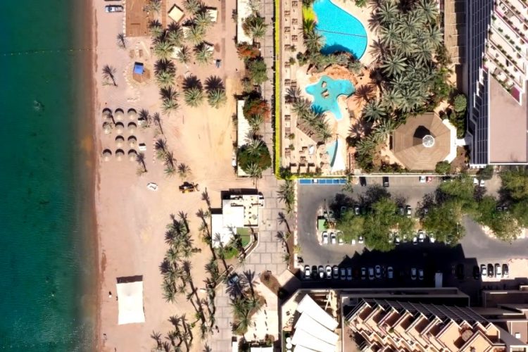 Мир накроет новая смертельная "болезнь Х"