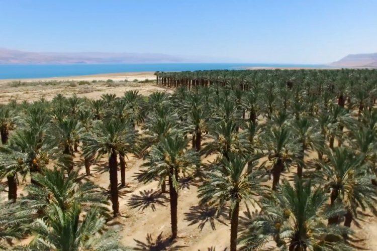 Известная клиника в Иерусалиме попала в центр коронавирусного скандала