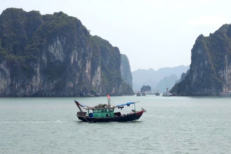 Вьетнам может остаться открытым для россиян только на бумаге