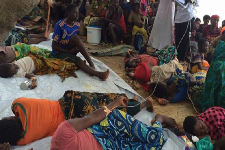 новость 12-02-2021 Очередное заболевание напугало туристов, планирующих отдых в Танзании