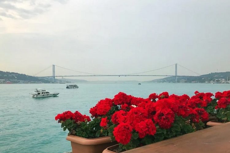 новость 28-02-2021 Отдохнуть в Стамбуле на 8 марта дешевле 50 тысяч рублей не получится