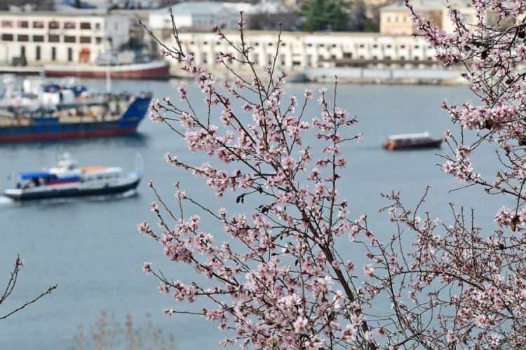 новость 28-02-2021 В Севастополе ослабят ковидные ограничения 8 и 18 марта