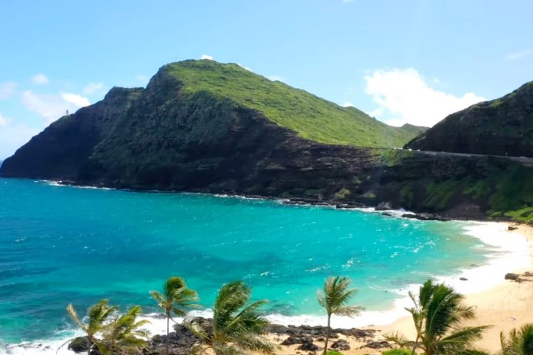 Туристы остаются довольны отдыхом на Гавайских островах