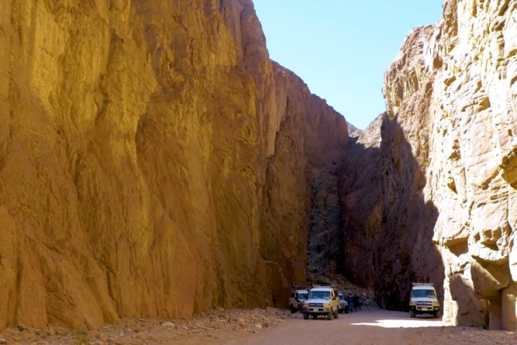 СМИ Египта: Туристы точно не узнают популярные достопримечательности после запуска туризма