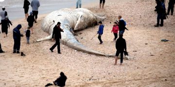 Пляжи Израиля залило нефтью