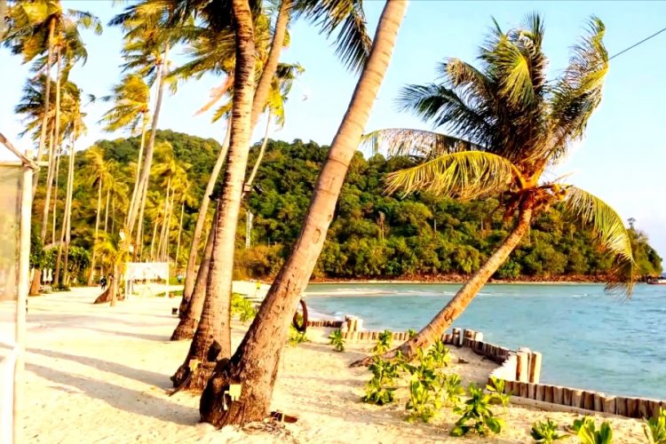 В Таиланде началась охота на учителей, прибывших из других стран