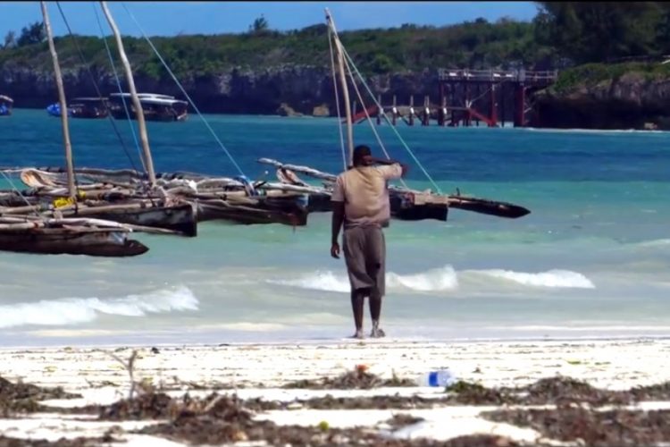 Позиция Танзании в вопросах вакцинации от Covid-19 удивила весь мир