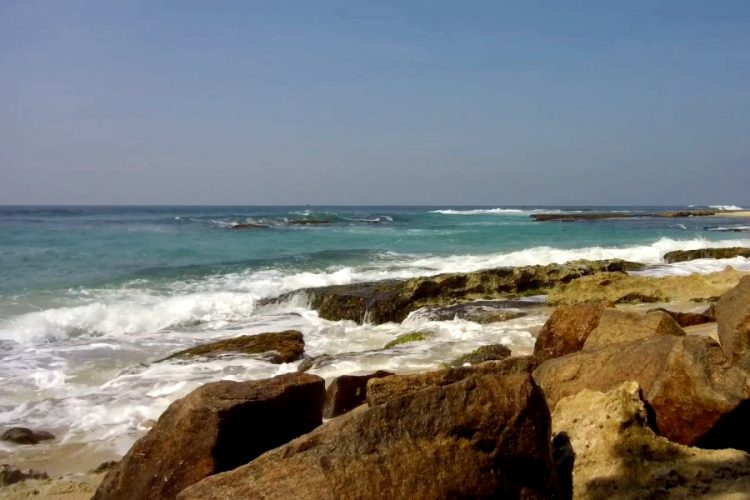 Некоторые отели Шри-Ланки подешевели вполовину