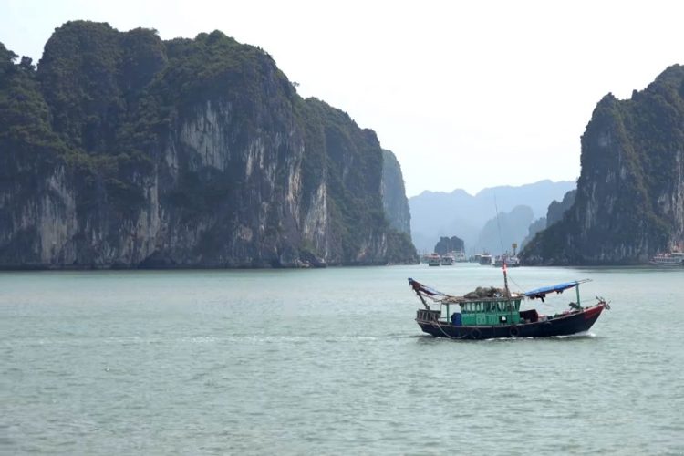 Вьетнамские чиновники прокомментировали открытие границ для иностранцев