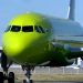 S7 Airlines позволяет перевозить больше животных на борту