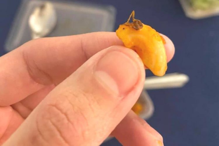 Постояльца тайского отеля будут судить за то, что нашел таракана в еде