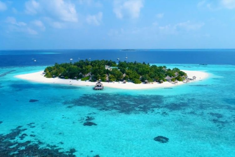 Лихорадка денге на Мальдивах