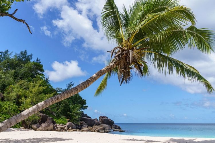 новость 05-03-2021 "Аэрофлот" запускает регулярное авиасообщение на Сейшелы