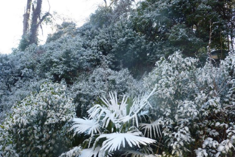 новость 14-03-2021 Погода на курортах Сочи и Турции резко ухудшилась