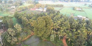 новость 22-03-2021 "Аэрофлот" возобновляет авиасообщение со Шри-Ланкой. Стали известны цены на туры