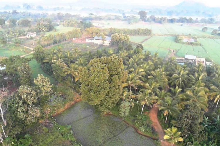 новость 22-03-2021 "Аэрофлот" возобновляет авиасообщение со Шри-Ланкой. Стали известны цены на туры