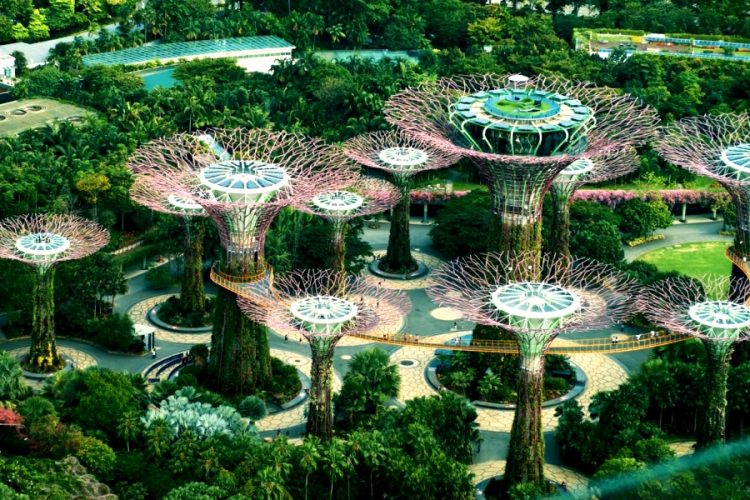 Сингапур открывает новый туристический коридор