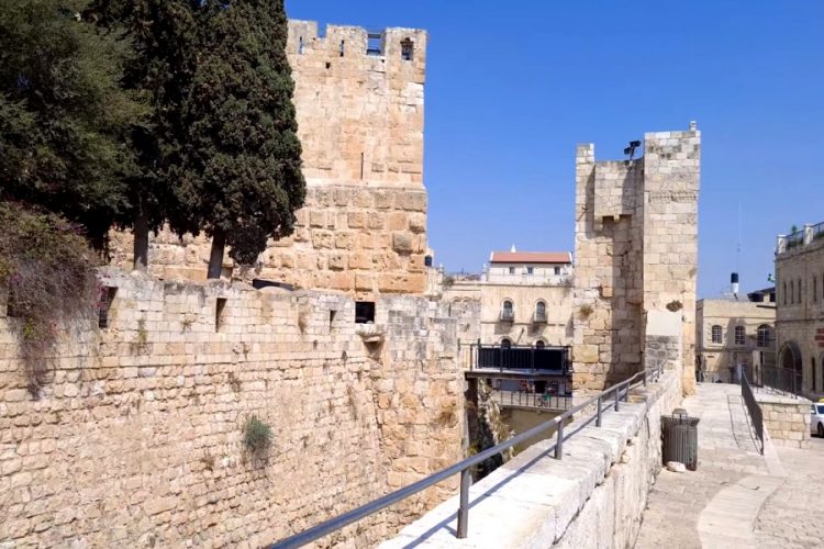 В Израиле случайно выдали паспорта вакцинации тем, кому не должны были