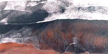Какие требования будут соблюдать россияне при посещении Шри-Ланки?