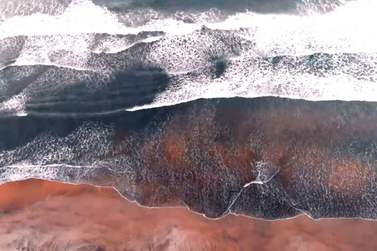 Какие требования будут соблюдать россияне при посещении Шри-Ланки?