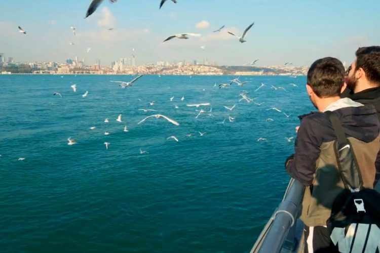 Россиянам предлагают промопрайсы на туры в Турцию