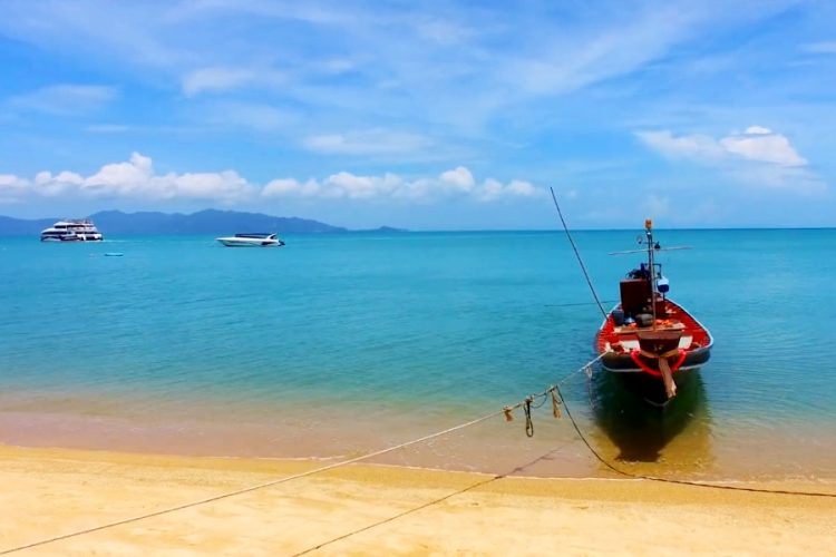 Чиновники Таиланда сообщили, сколько будет стоить ковидный паспорт