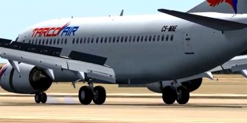 Самолет совершил экстренную посадку из-за напавшего на пилотов кота